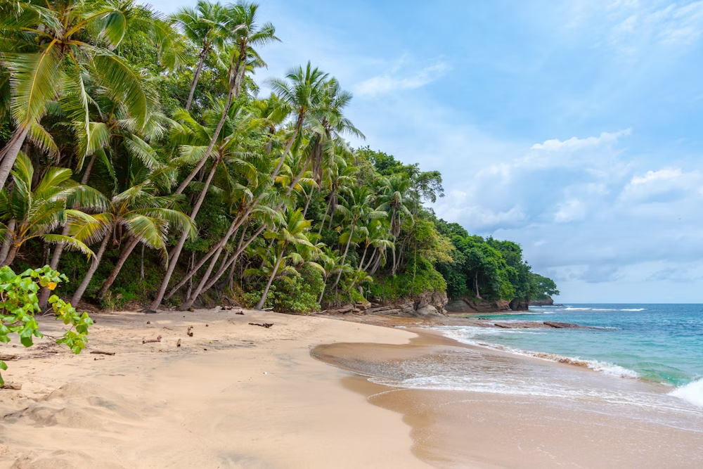 Best Time to Visit Thailand